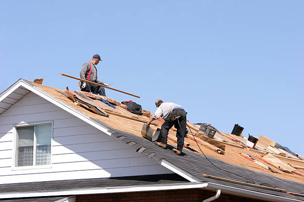 Trusted Apollo Beach, FL Roofing servicies Experts